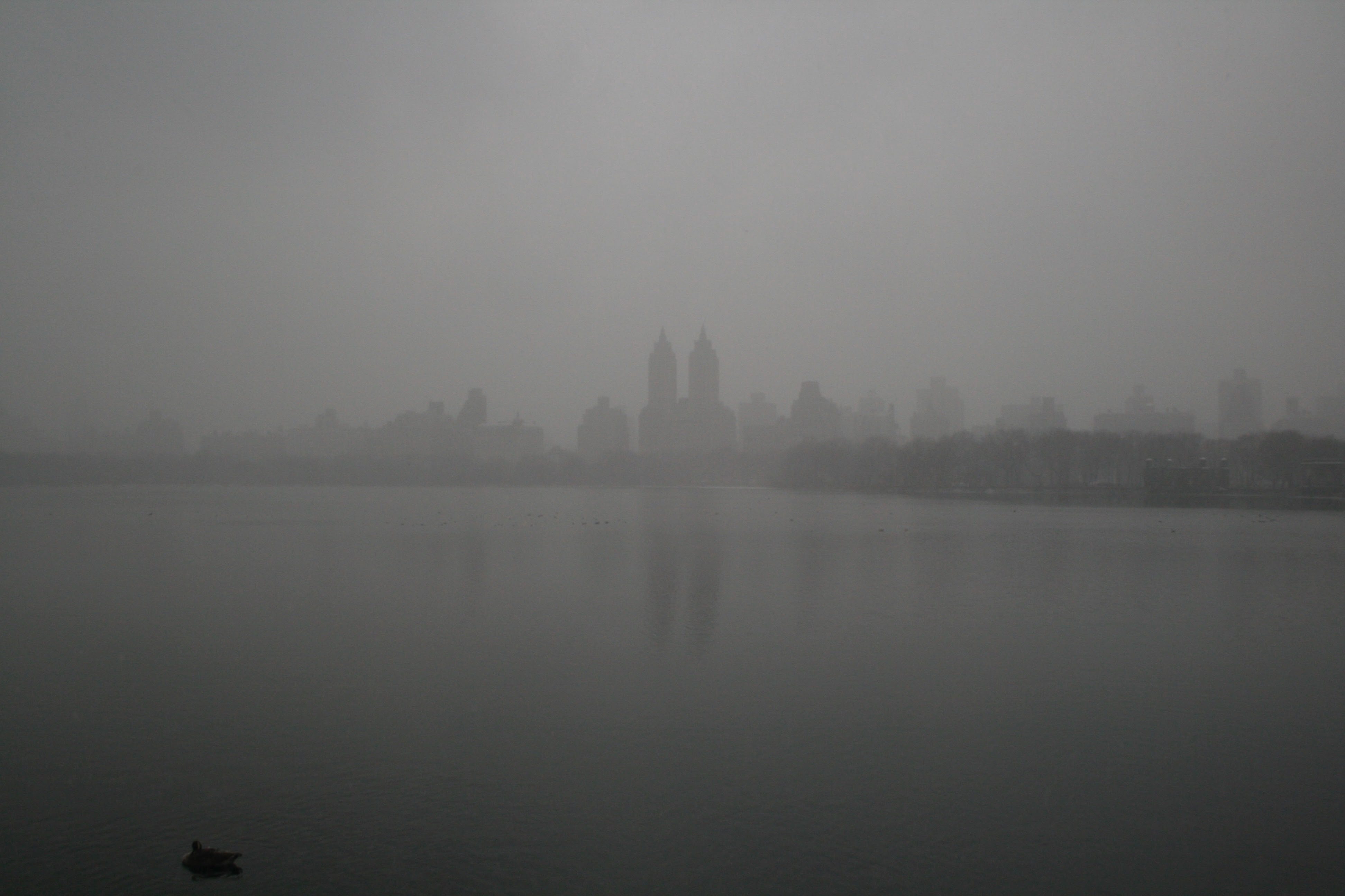 Across the lake in central park
