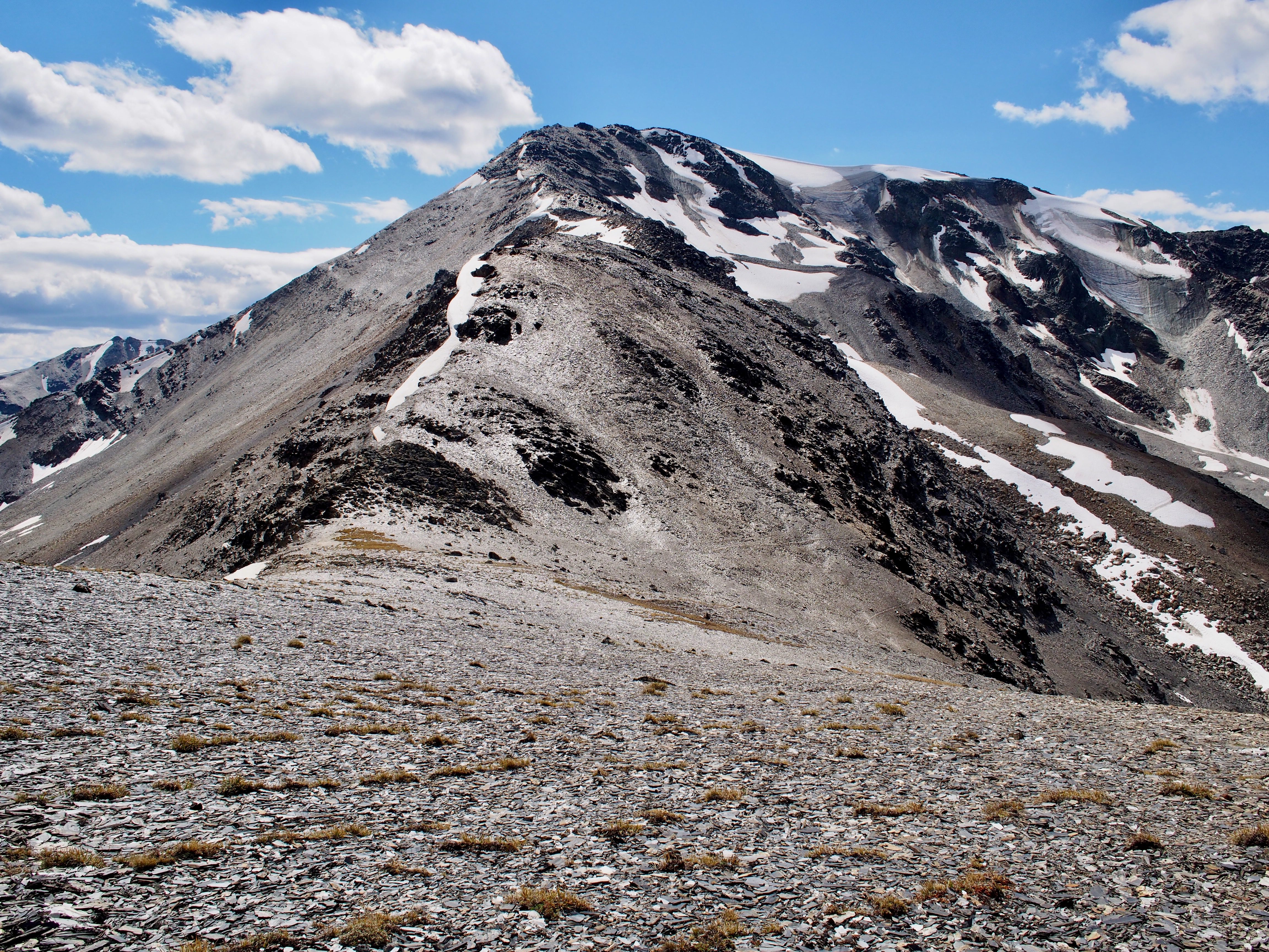 The saddle of a mountain outside Golden, BC